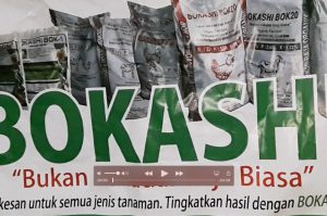 Kebun-Pak-Leman-siri11024x683-1024×683